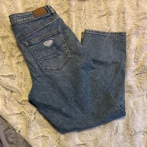 American Eagle Outfitters High Rise Blue Jeans